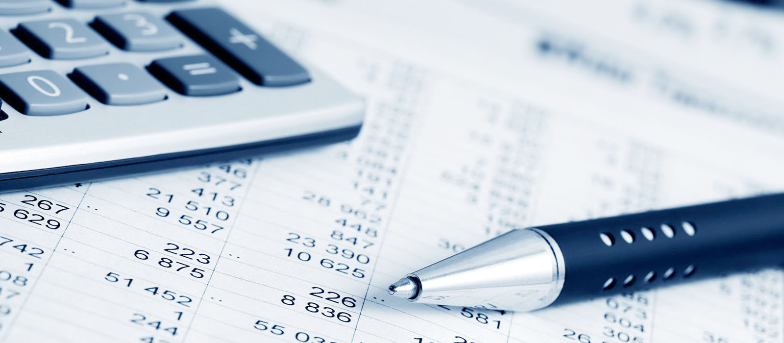 World-Class Investment Advisory Services